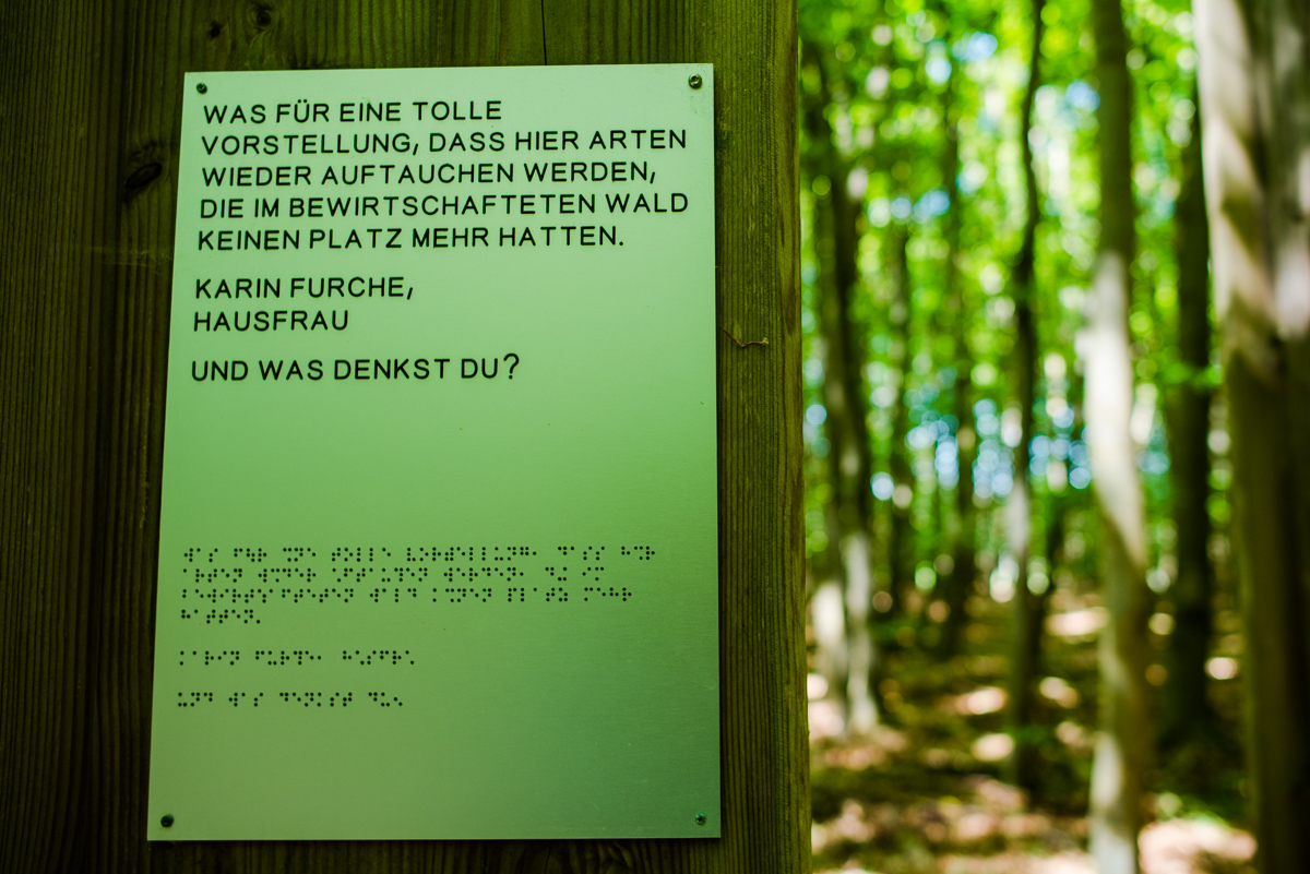 Spruch