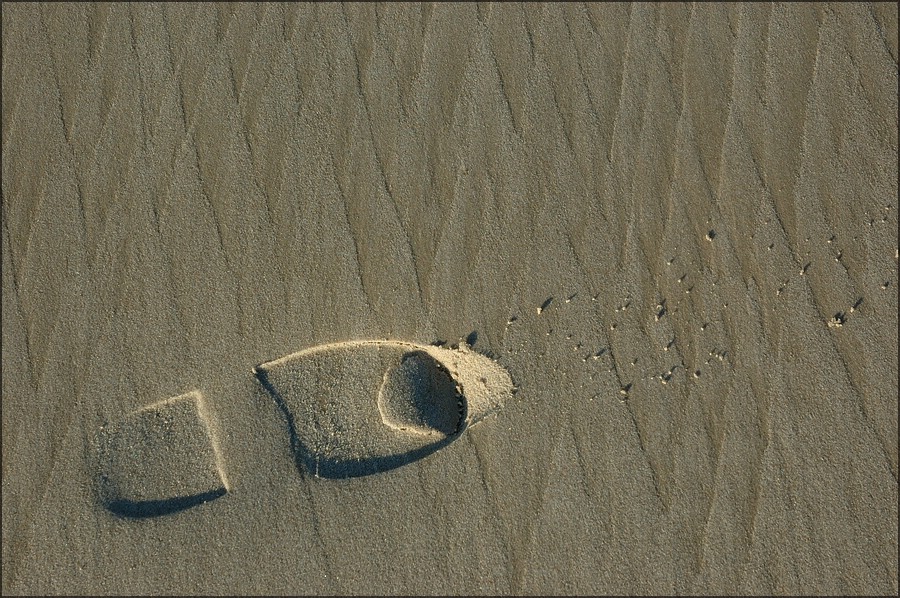 Spur im Sand