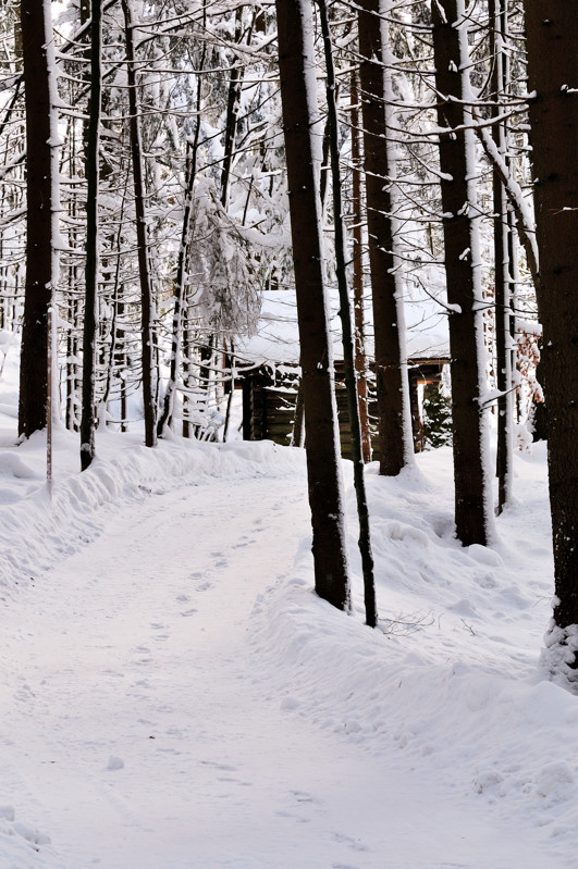 Spuren im Schnee