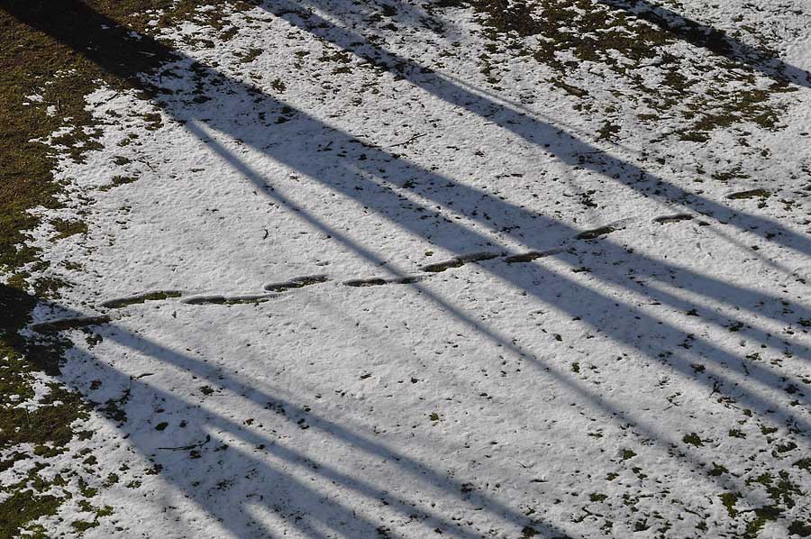 Spuren im Schnee