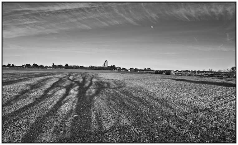 St. Severin, Baumschatten, Mond