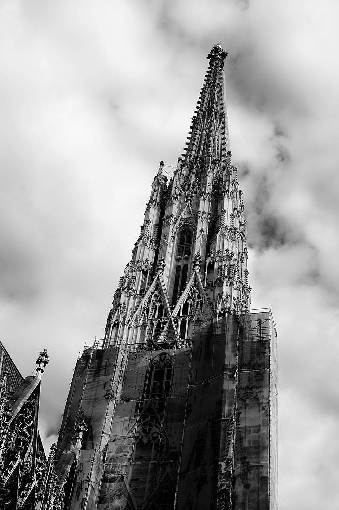 st stephan im kleid 2