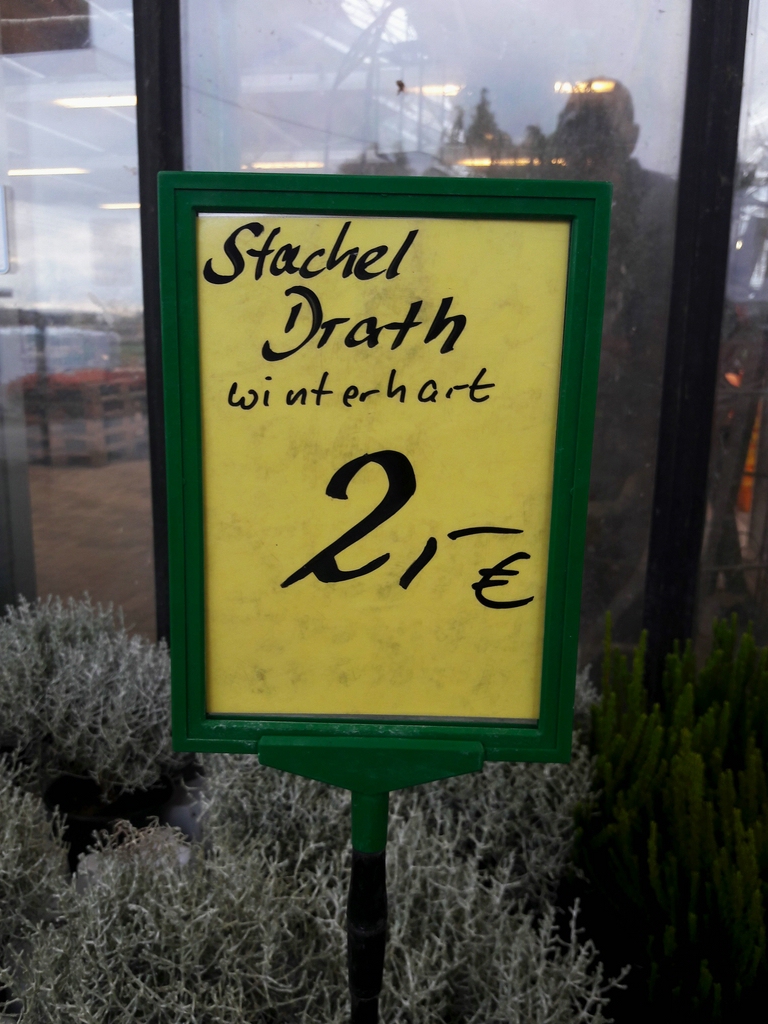 Stacheldrath