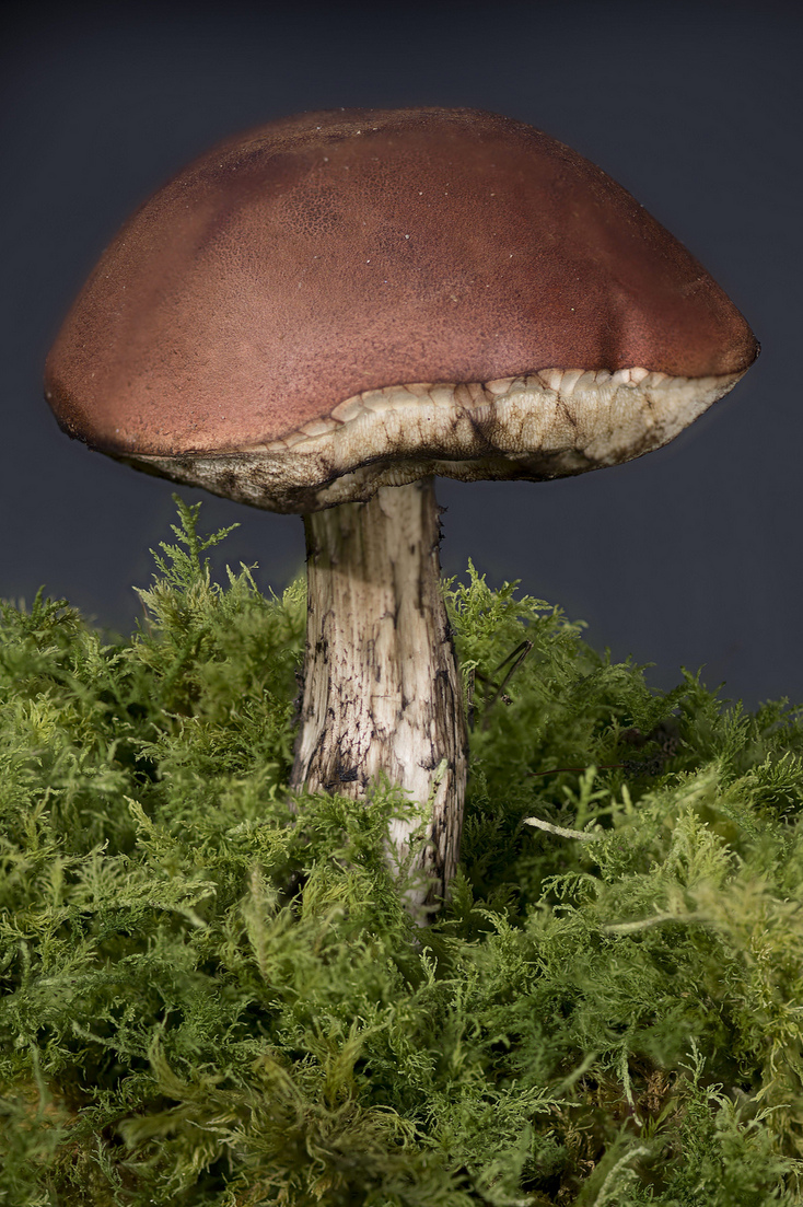 Stack 3