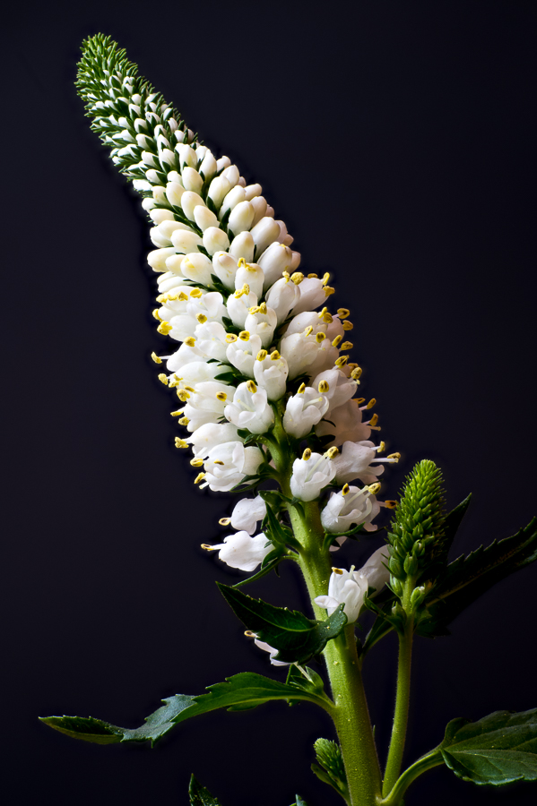 stack3final-900px.jpg