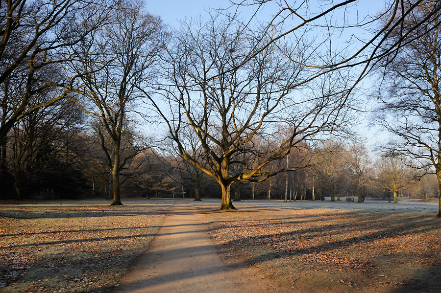 Stadtpark 009