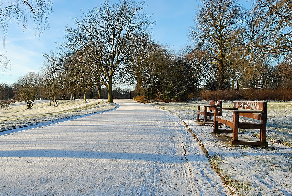 Stadtpark Hamburg Winter 08