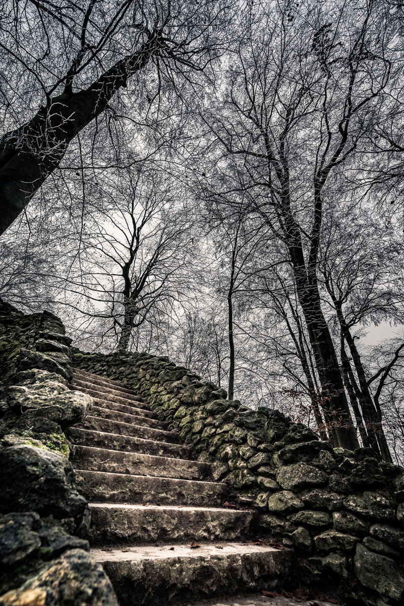 Stairs and Trees