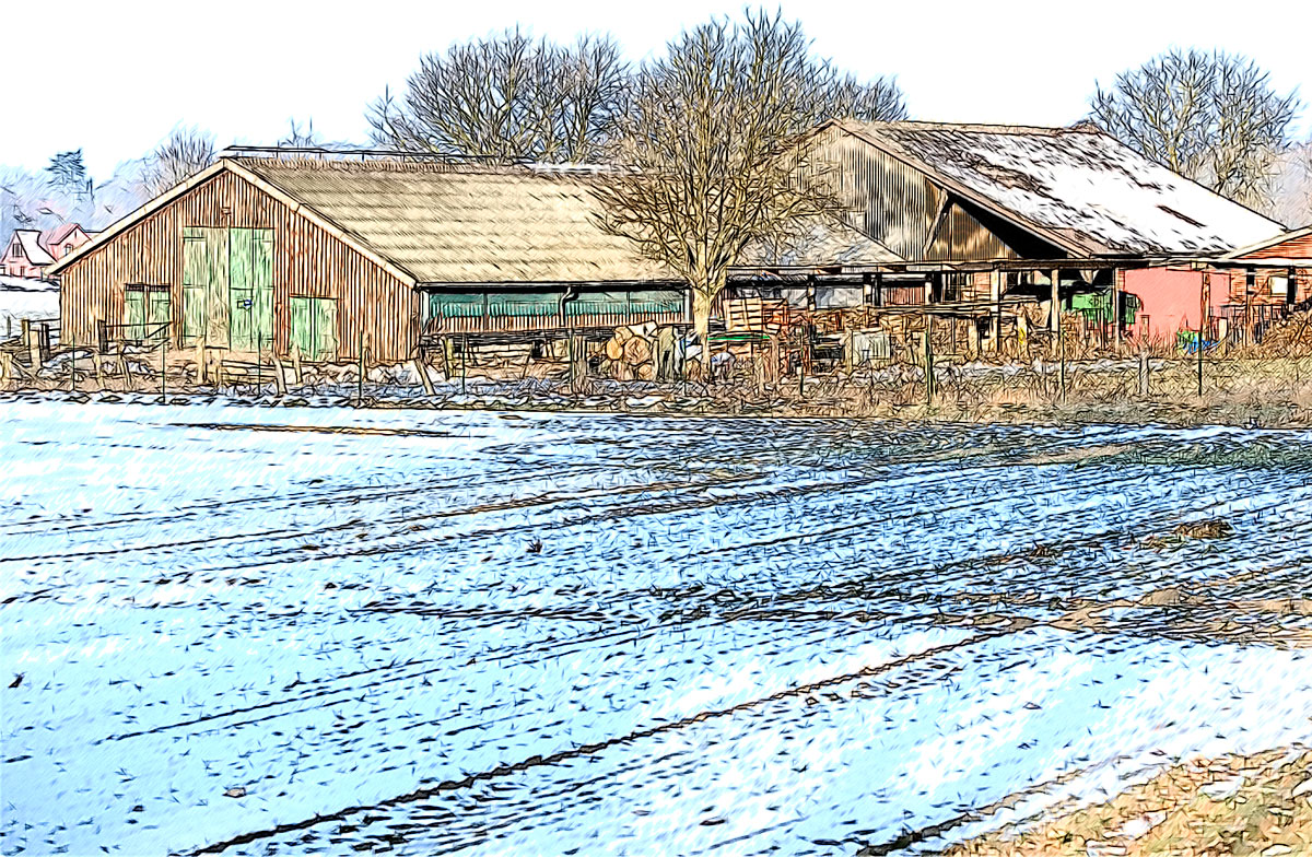 Stall im Winter