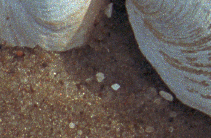 Stapelbild0004 Crop