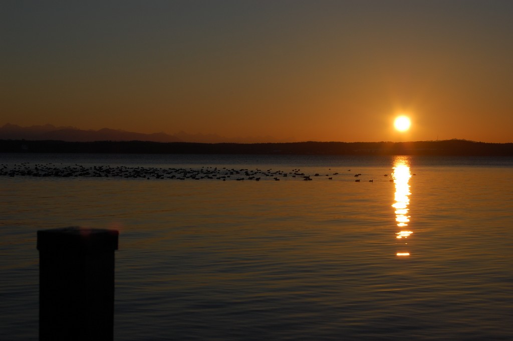 Starnberger See 1