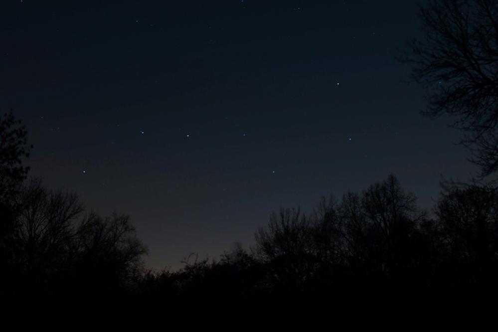 Stars over Osdorfer Wäldchen