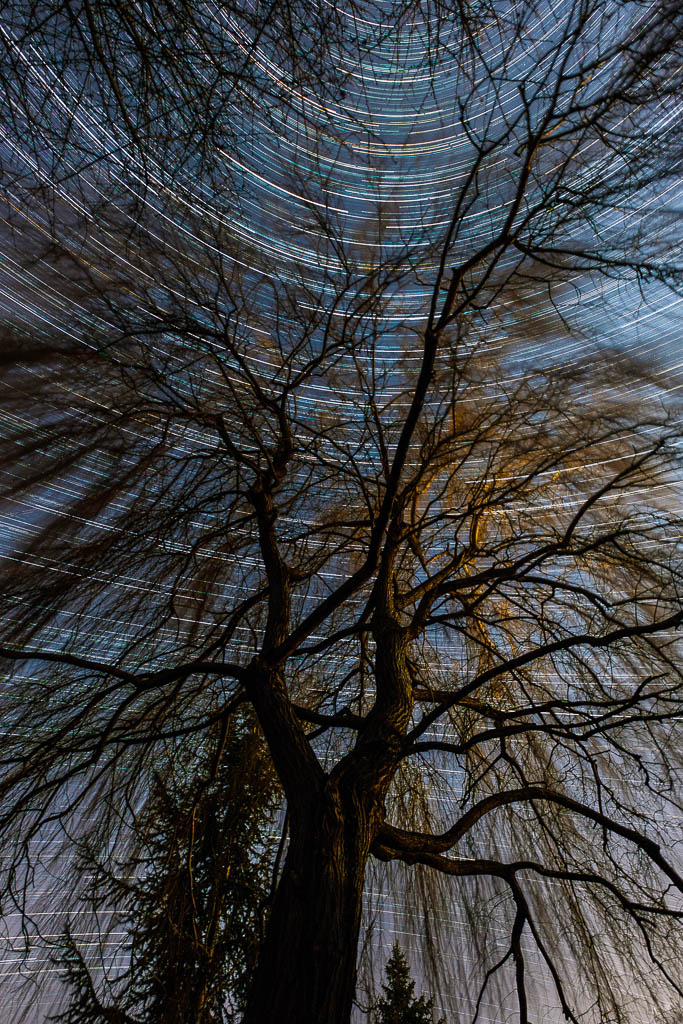 Startrails