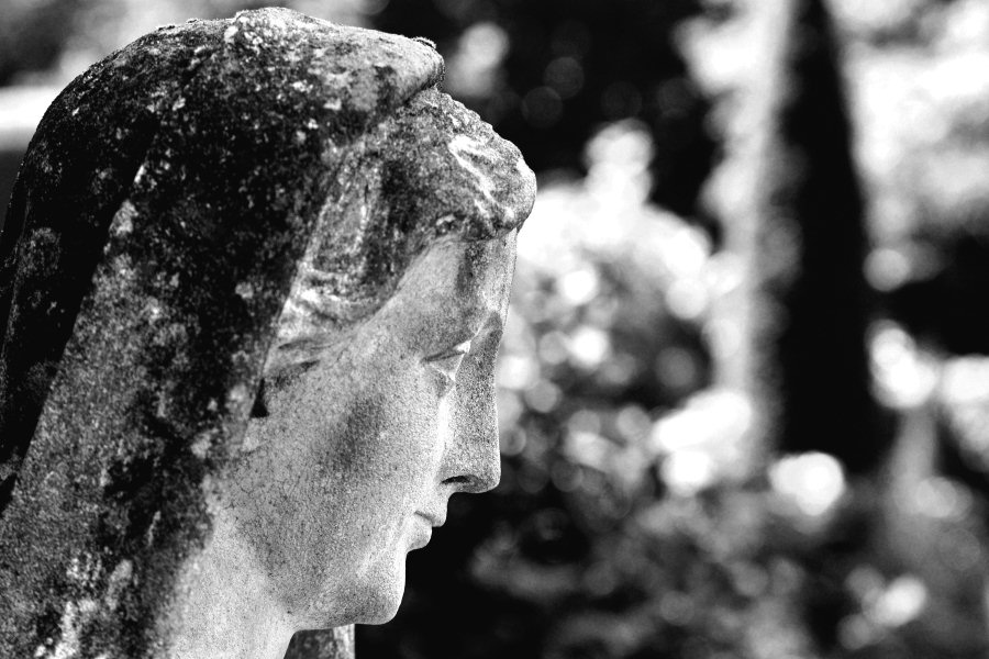 Statue Openluchtmuseum Arnheim
