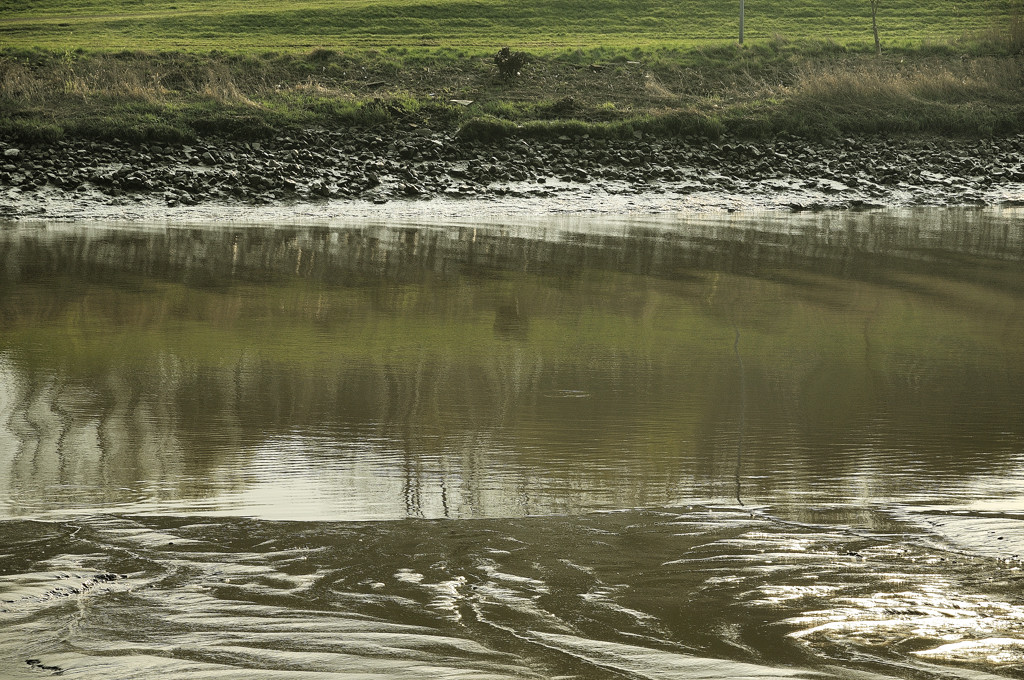 stauwasser