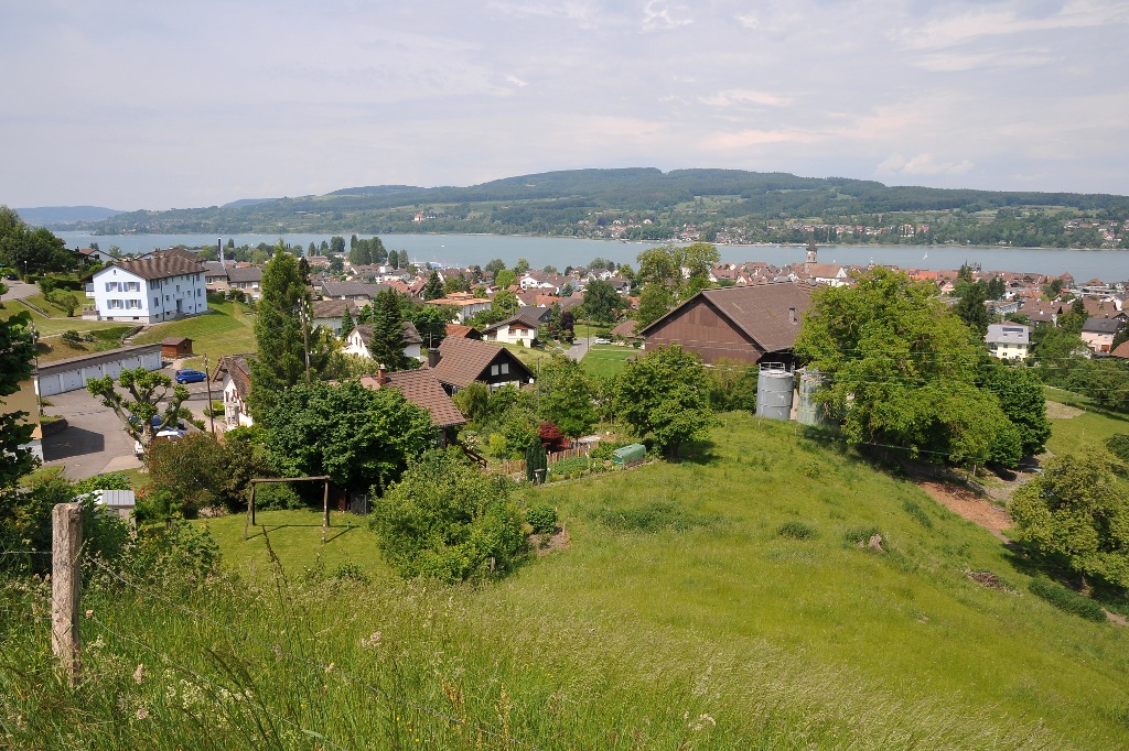 steckborn mai
