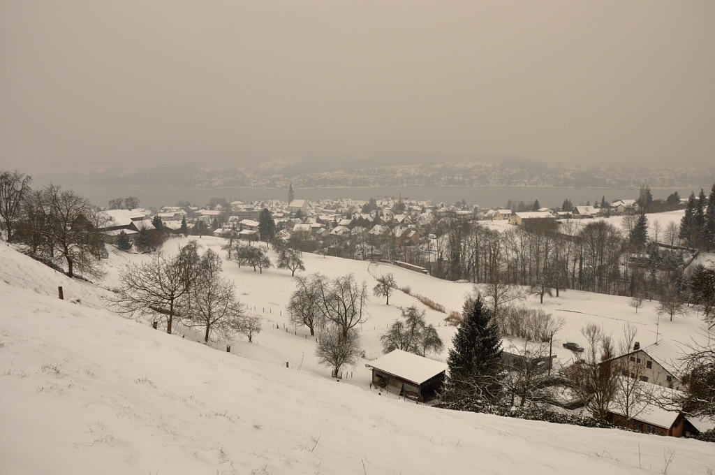 Steckborn Winter