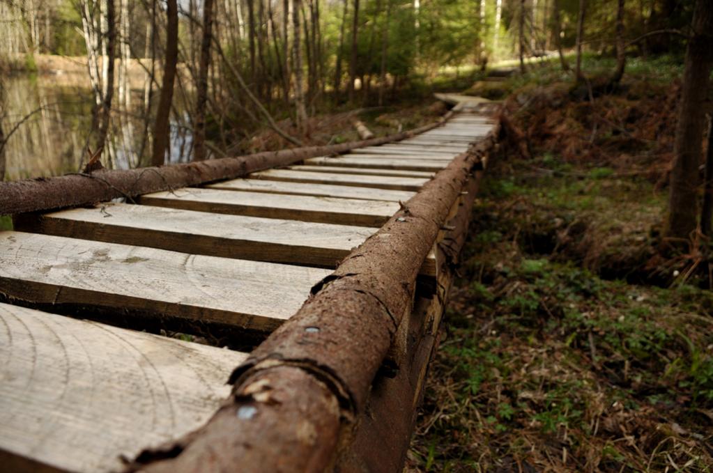 Steg im Wald
