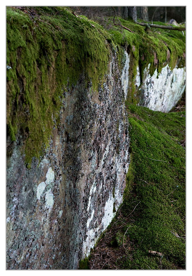 stein im wald1