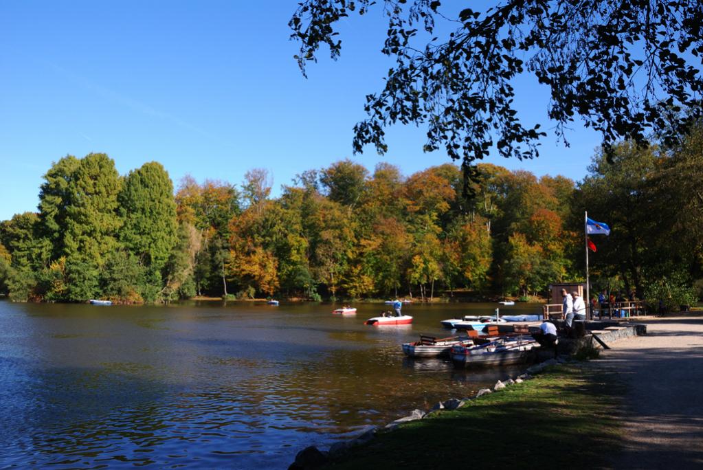 Steinbrücker Teich bei Darmstadt