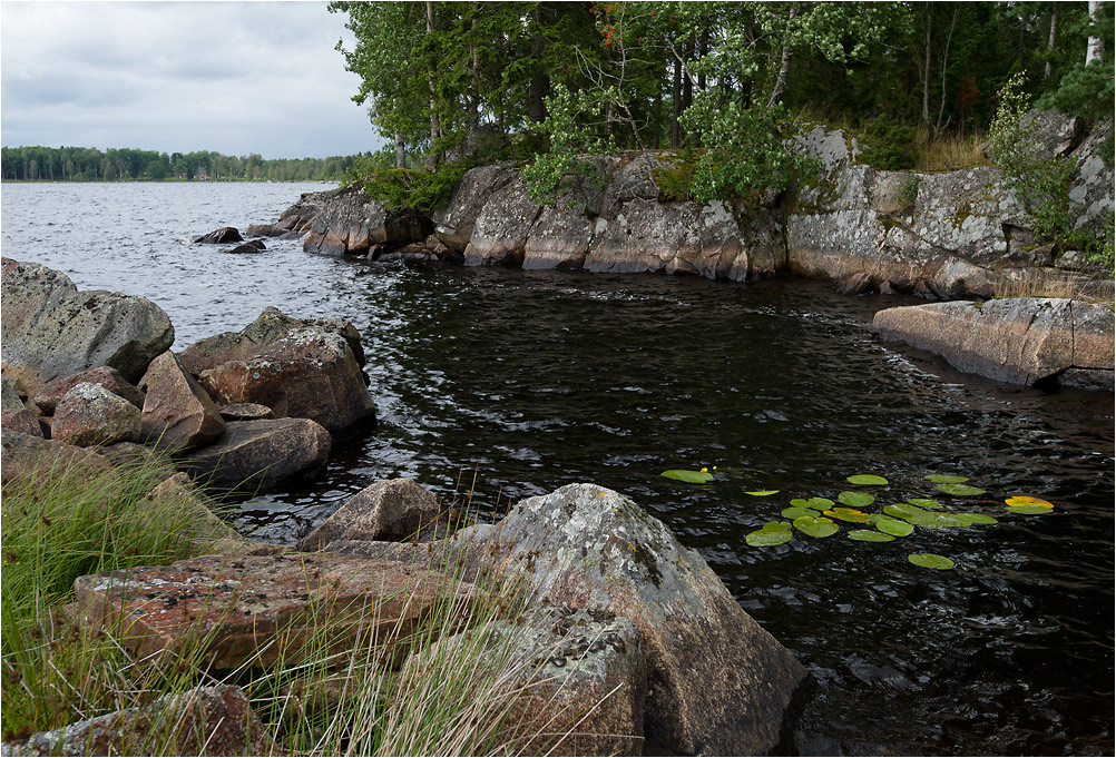 steinsee8
