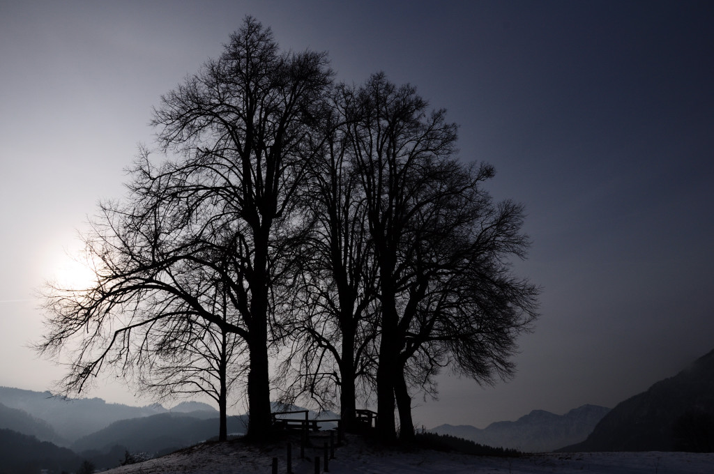 Sterzen´s Abendsitz