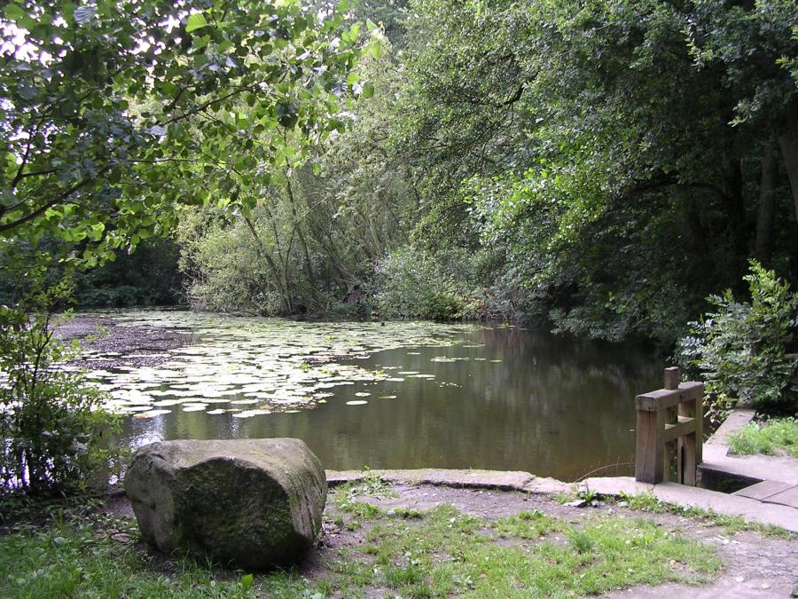 still ruht der See,
aufgenommen im Emsland