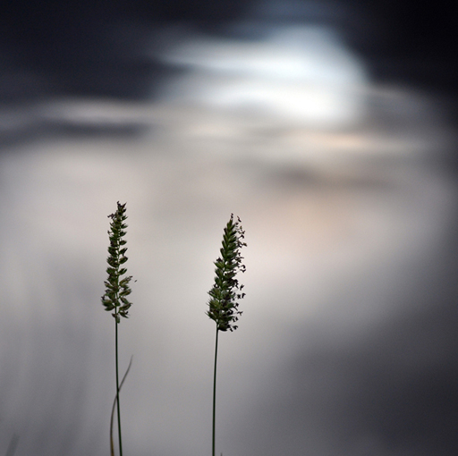 Stille