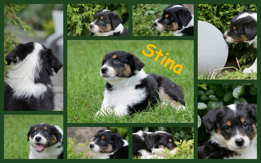 Stina