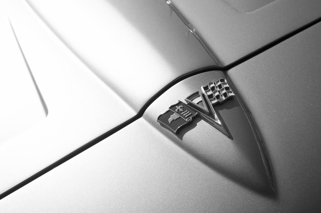 Stingray SW  D2X1841