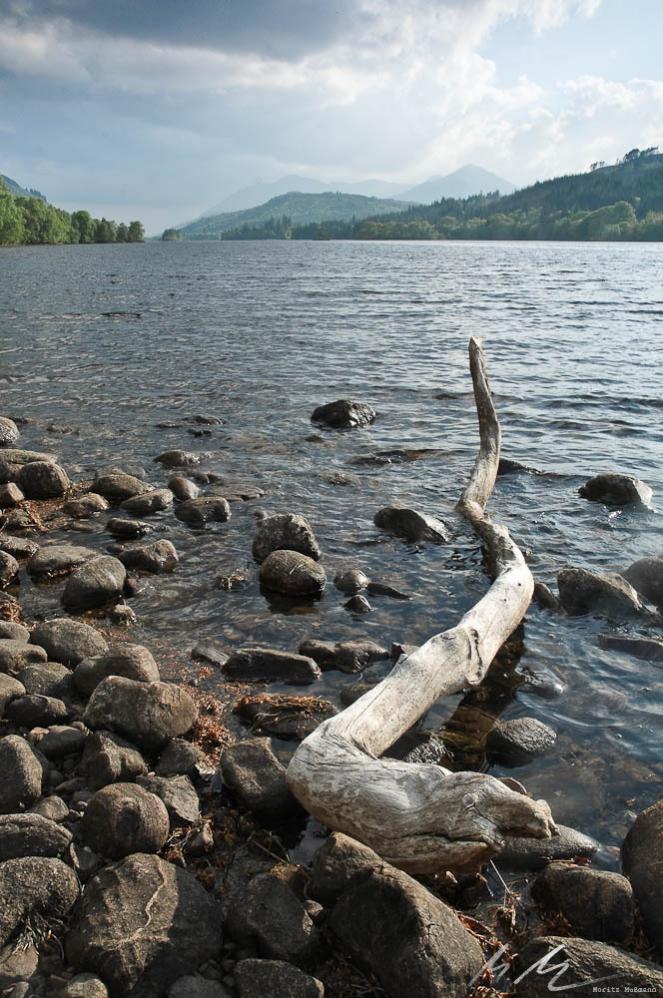 Stock am Loch Oich