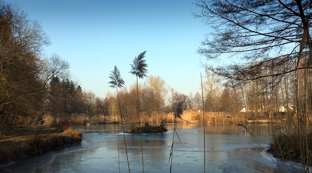 Stockmühlsee (1) Kopie