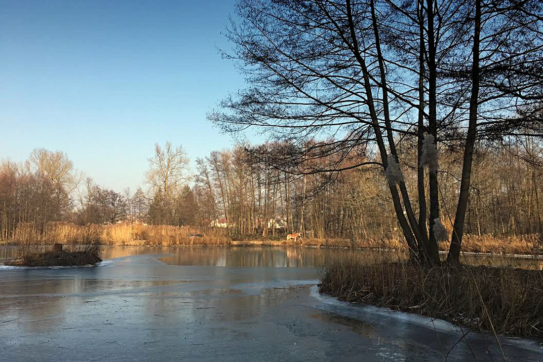 Stockmühlsee 2 Kopie