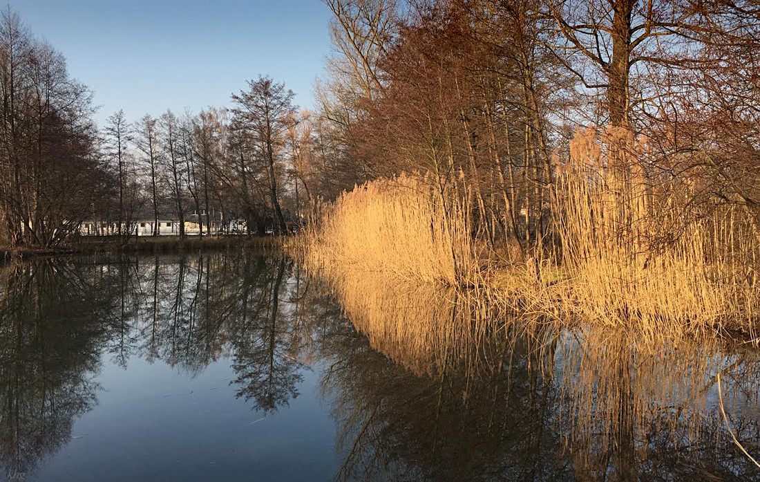 Stockmühlsee 4 Kopie
