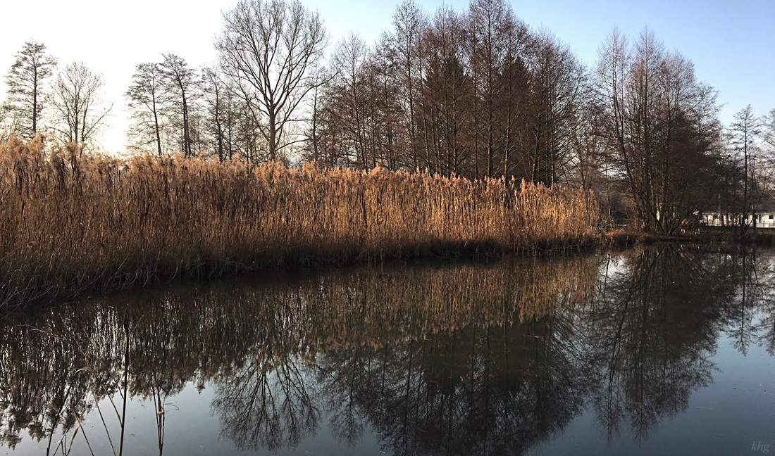 Stockmühlsee 5 Kopie