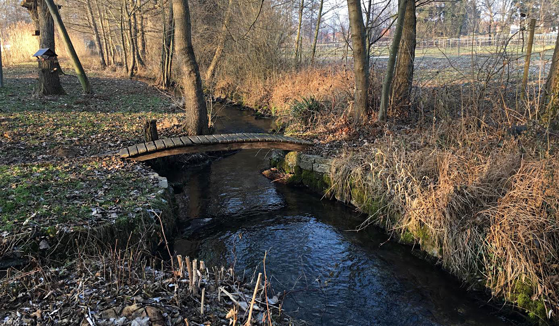 Stockmühlsee 6 Kopie
