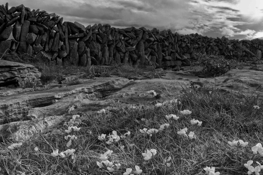 stone dead4 1