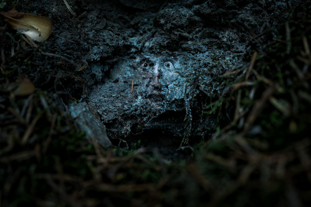 stoneface