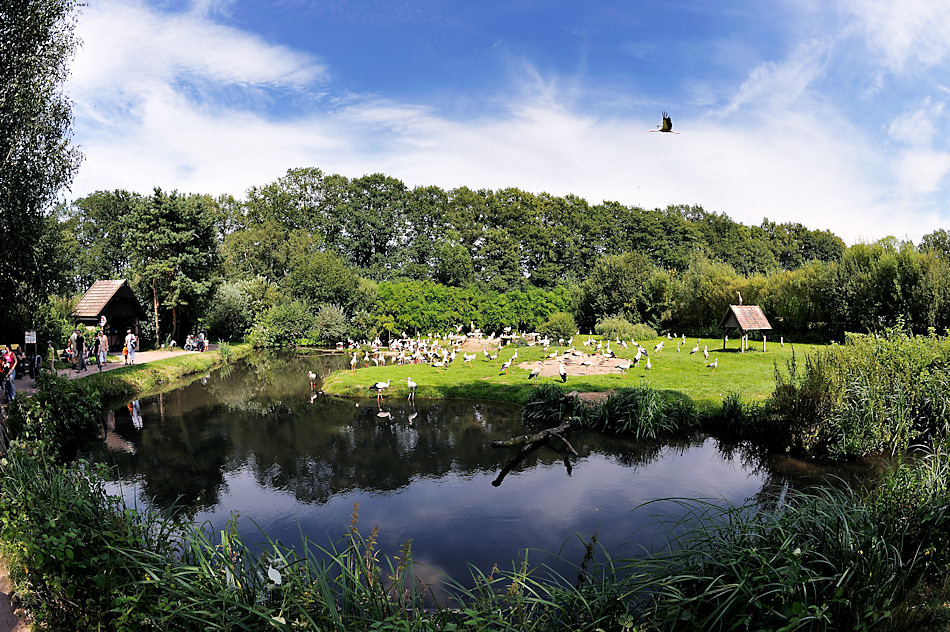 Storchenreservat Naturzoo Rheine