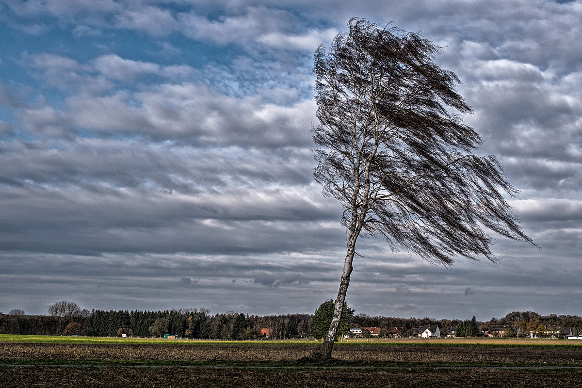 Stormy Wheather 2