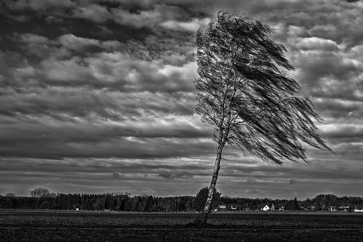Stormy Wheather 3