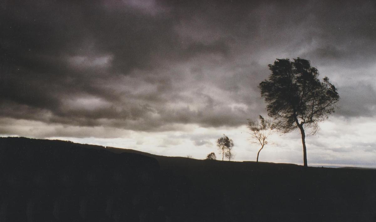 stormy