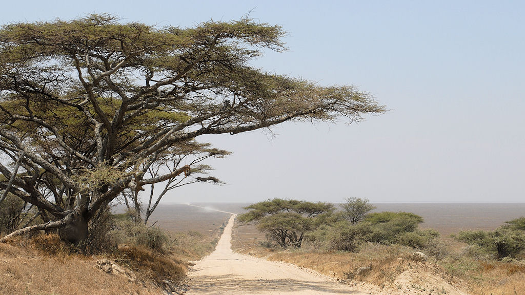 Straße von Naabi Hill in die Serengeti Ebene
2495