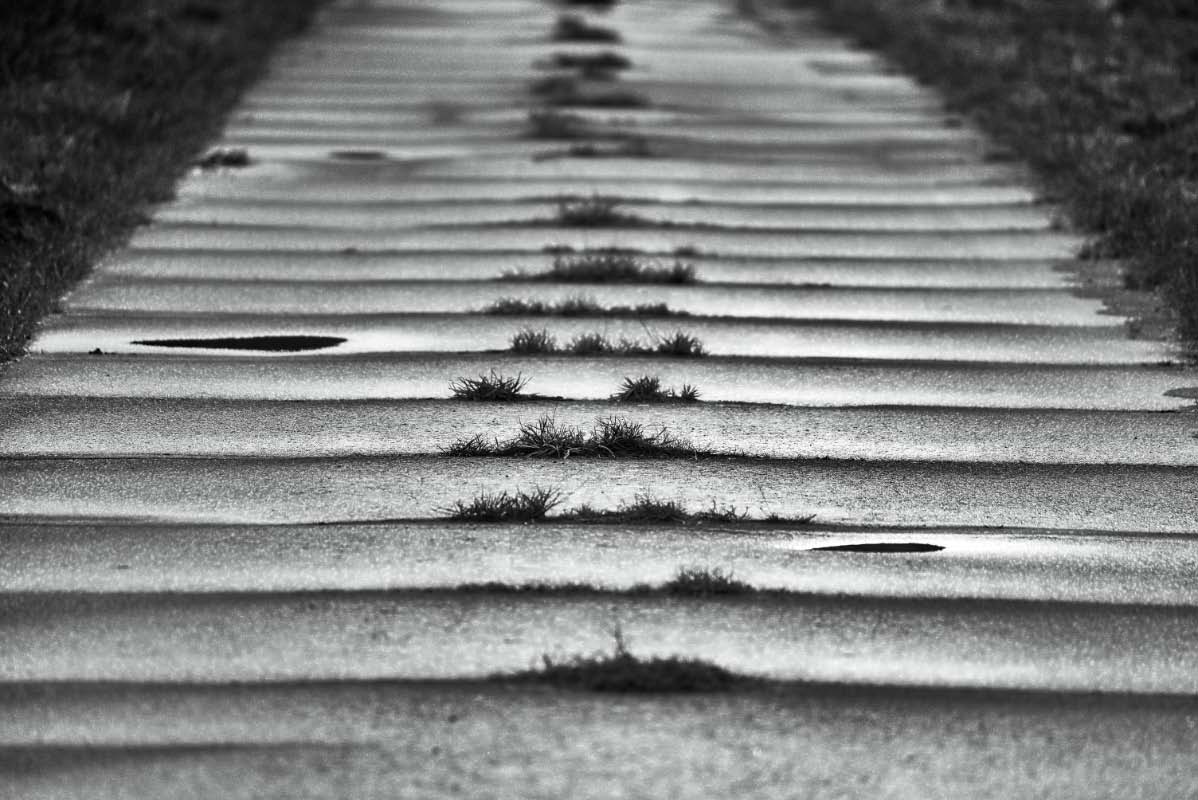 Straßenprofil durchwachsen BW.jpg