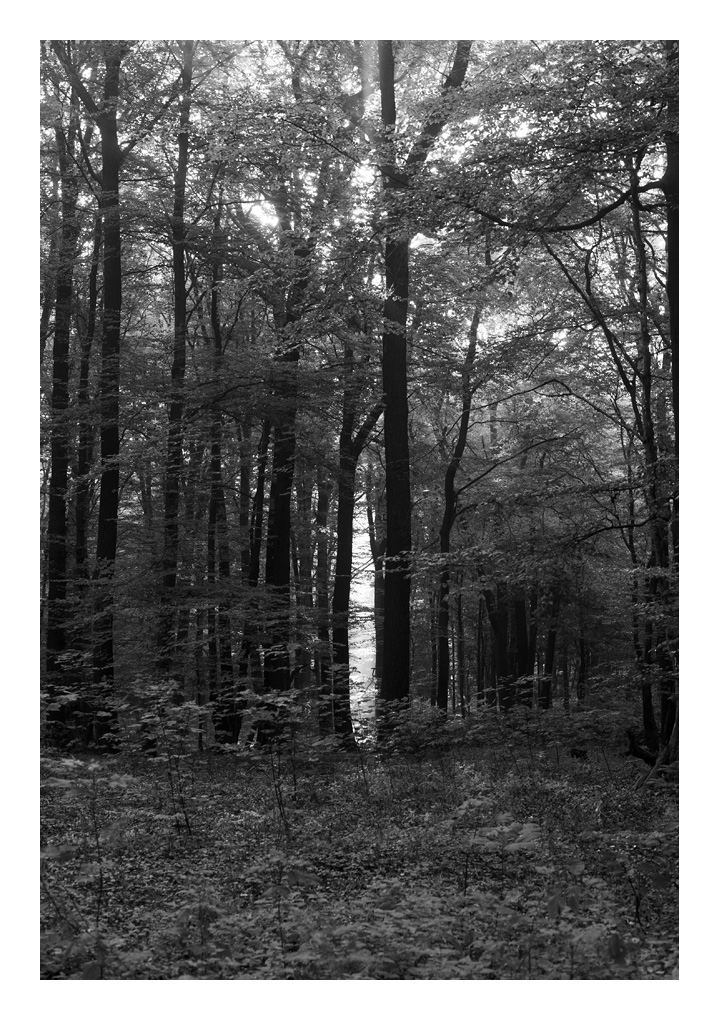 strahlen3