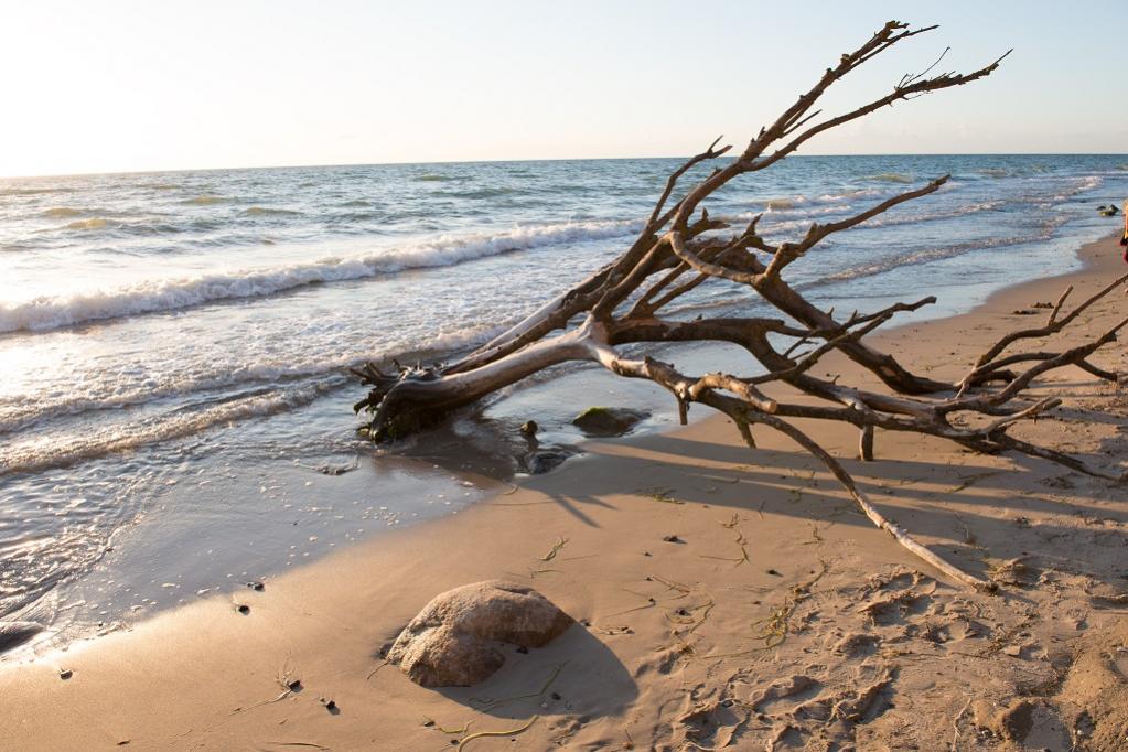 Strand Ahrenshoop