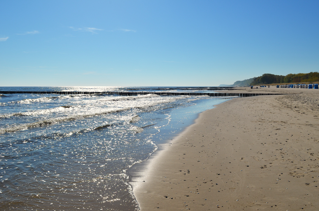 Strand II