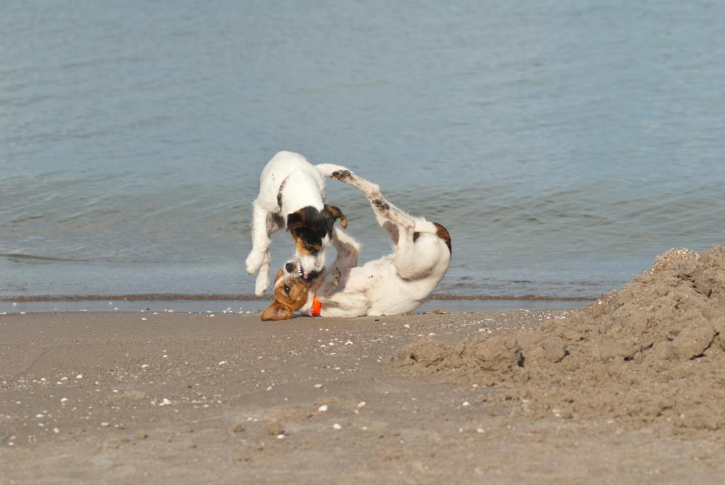 Strand Prora