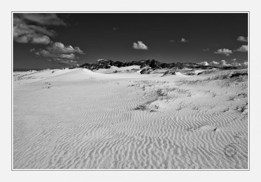 Strand und Dünenanfang