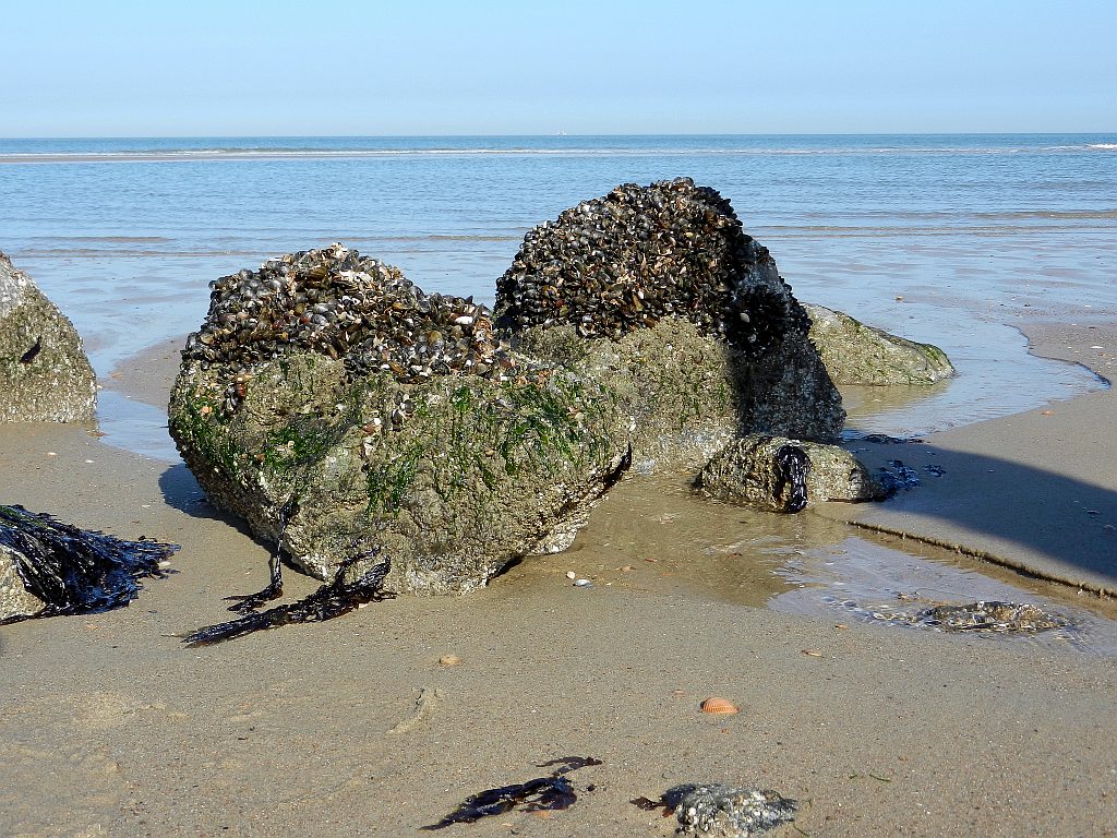 Strand2